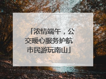浓情端午，公交暖心服务护航市民游玩南山