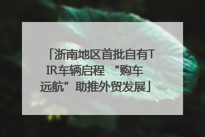 浙南地区首批自有TIR车辆启程 “购车远航”助推外贸发展