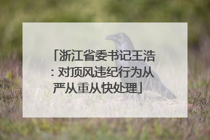 浙江省委书记王浩：对顶风违纪行为从严从重从快处理