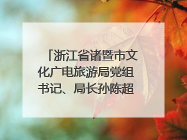 浙江省诸暨市文化广电旅游局党组书记、局长孙陈超：以“西施”IP激活全域旅游 打造县域文旅融合新标杆｜第七届全国县域旅游研究成果发布系列活动