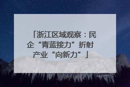 浙江区域观察：民企“青蓝接力”折射产业“向新力”