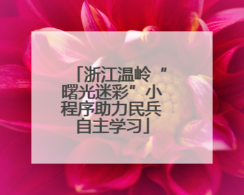 浙江温岭“曙光迷彩”小程序助力民兵自主学习