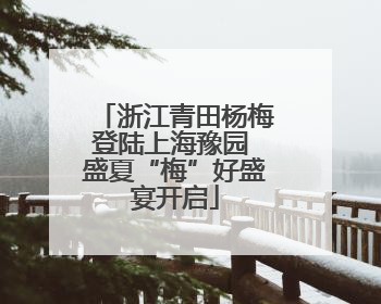 浙江青田杨梅登陆上海豫园 盛夏“梅”好盛宴开启
