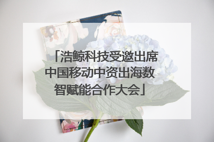 浩鲸科技受邀出席中国移动中资出海数智赋能合作大会