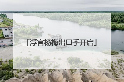 浮宫杨梅出口季开启
