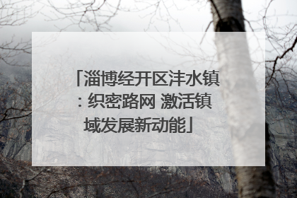 淄博经开区沣水镇：织密路网 激活镇域发展新动能