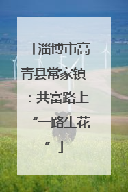 淄博市高青县常家镇：共富路上“一路生花”