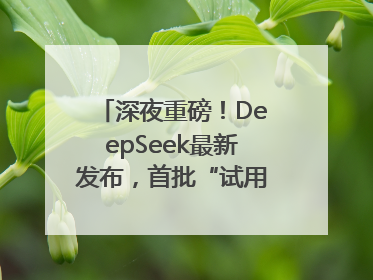 深夜重磅！DeepSeek最新发布，首批“试用体验”出炉→
