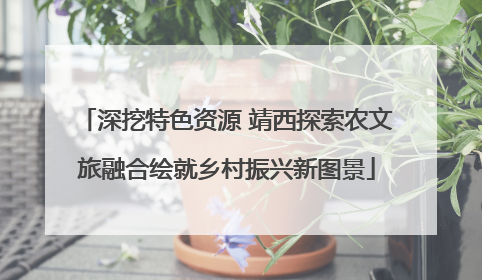 深挖特色资源 靖西探索农文旅融合绘就乡村振兴新图景