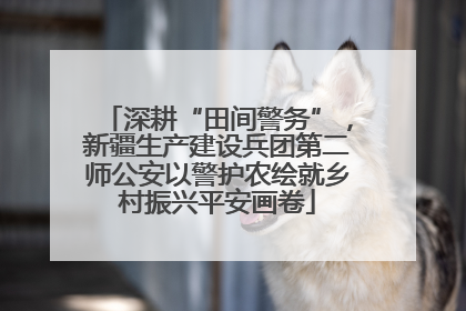 深耕“田间警务”，新疆生产建设兵团第二师公安以警护农绘就乡村振兴平安画卷
