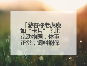 游客称老虎瘦如“卡片”？北京动物园：体重正常，饲料能保障营养需求