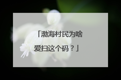 渤海村民为啥爱扫这个码？