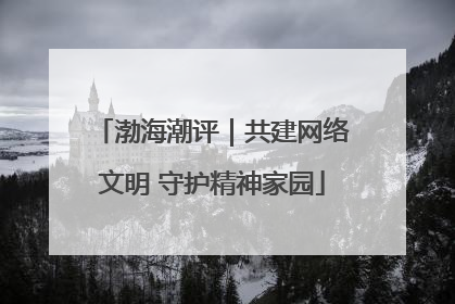 渤海潮评｜共建网络文明 守护精神家园