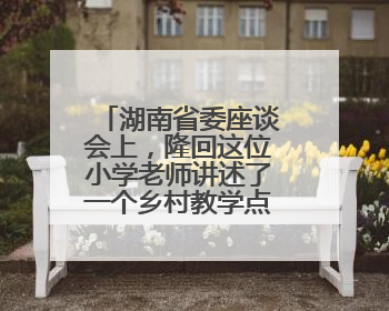 湖南省委座谈会上，隆回这位小学老师讲述了一个乡村教学点的温暖故事