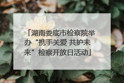 湖南娄底市检察院举办“携手关爱 共护未来”检察开放日活动