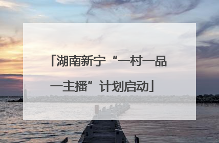 湖南新宁“一村一品一主播”计划启动