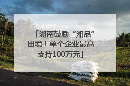 湖南鼓励“湘品”出境！单个企业最高支持100万元