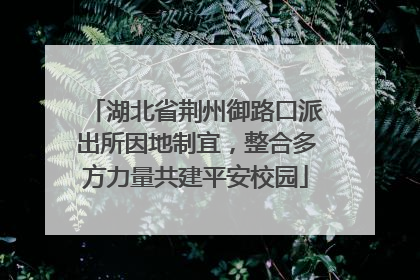 湖北省荆州御路口派出所因地制宜，整合多方力量共建平安校园