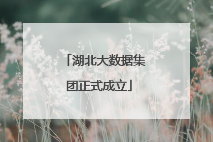 湖北大数据集团正式成立