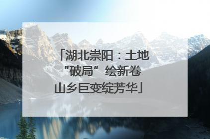 湖北崇阳：土地“破局”绘新卷 山乡巨变绽芳华
