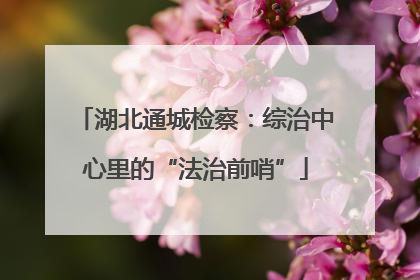 湖北通城检察：综治中心里的“法治前哨”