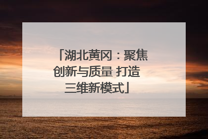 湖北黄冈：聚焦创新与质量 打造三维新模式