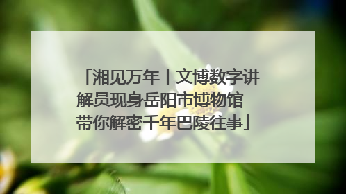 湘见万年丨文博数字讲解员现身岳阳市博物馆 带你解密千年巴陵往事