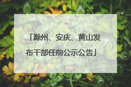 滁州、安庆、黄山发布干部任前公示公告