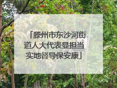 滕州市东沙河街道人大代表显担当实地督导保安康