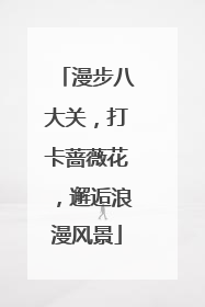 漫步八大关，打卡蔷薇花，邂逅浪漫风景