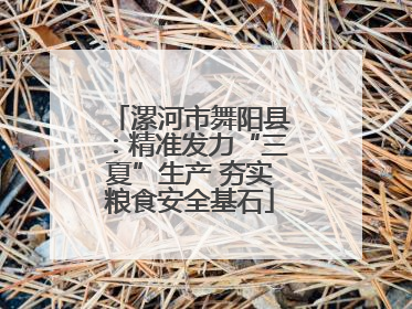 漯河市舞阳县：精准发力“三夏”生产 夯实粮食安全基石