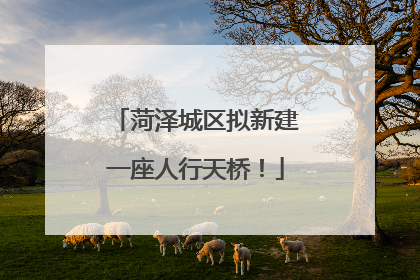 菏泽城区拟新建一座人行天桥！