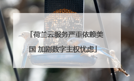 荷兰云服务严重依赖美国 加剧数字主权忧虑