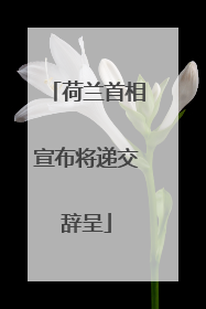 荷兰首相宣布将递交辞呈