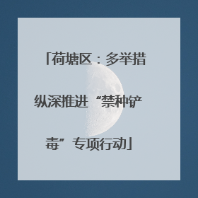 荷塘区：多举措纵深推进“禁种铲毒”专项行动