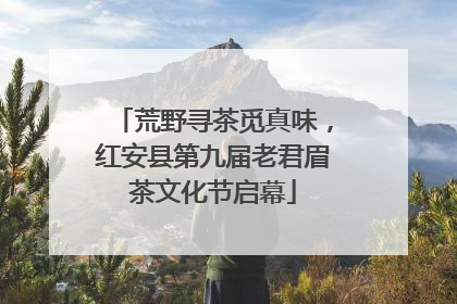 荒野寻茶觅真味，红安县第九届老君眉茶文化节启幕