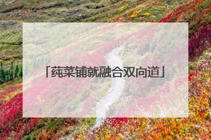 莼菜铺就融合双向道