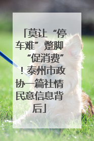 莫让“停车难”蹩脚“促消费”！泰州市政协一篇社情民意信息背后