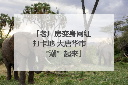 老厂房变身网红打卡地 大唐华市“潮”起来