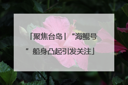 聚焦台岛│“海鲲号”船身凸起引发关注