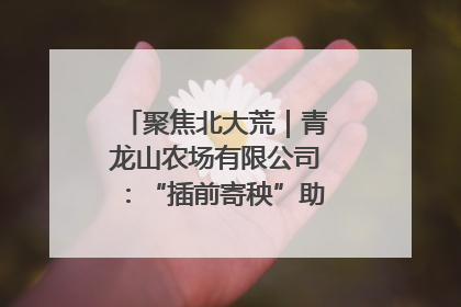 聚焦北大荒｜青龙山农场有限公司：“插前寄秧”助力农业节本增效