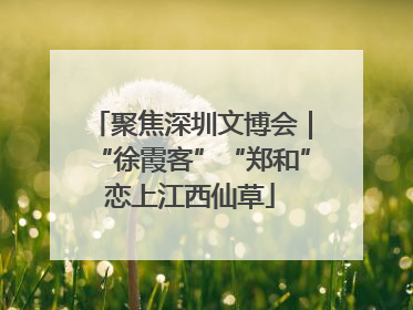 聚焦深圳文博会｜“徐霞客”“郑和”恋上江西仙草