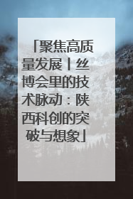 聚焦高质量发展丨丝博会里的技术脉动：陕西科创的突破与想象