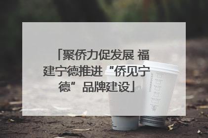 聚侨力促发展 福建宁德推进“侨见宁德”品牌建设
