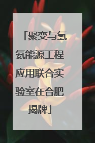 聚变与氢氨能源工程应用联合实验室在合肥揭牌