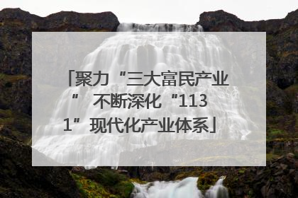 聚力“三大富民产业” 不断深化“1131”现代化产业体系