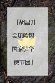 胡昌升会见欧盟国家驻华使节团