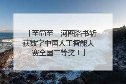 至简至一河图洛书斩获数字中国人工智能大赛全国二等奖！