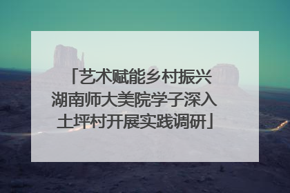 艺术赋能乡村振兴 湖南师大美院学子深入土坪村开展实践调研