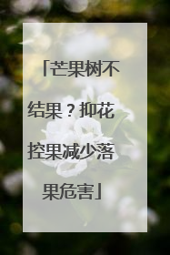 芒果树不结果？抑花控果减少落果危害